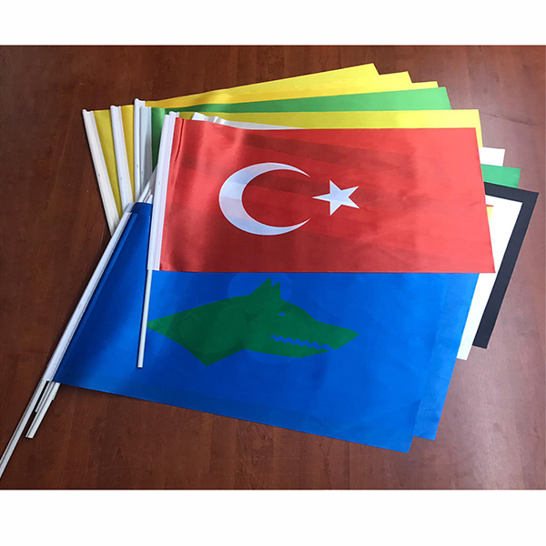 Sopalı Bayrak, Eski Türk Devleti Bayrakları