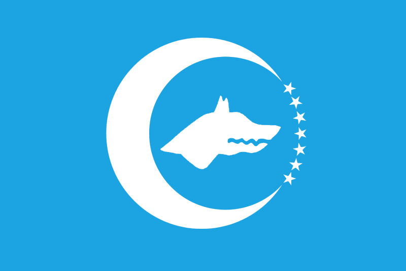 Turan Bayrağı