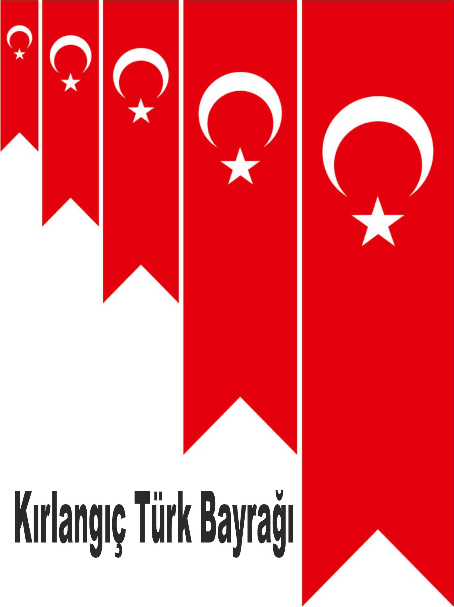 Kırlangıç Türk Flama Bayrak